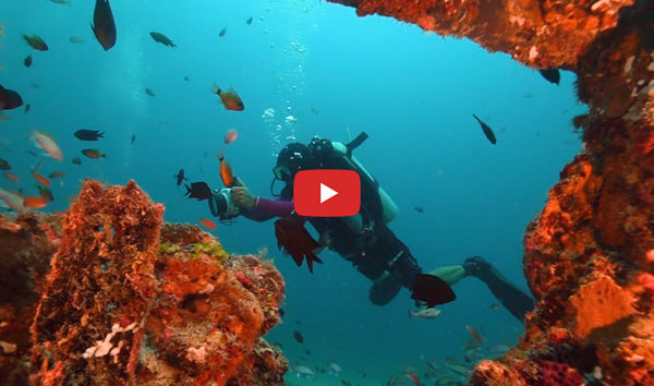 Diving with Salted Line waterproof housing for SONY a6xxx camera series