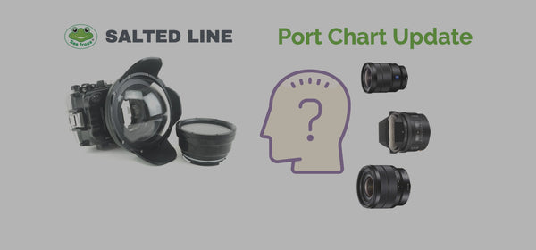 How to understand which lens works well with a port