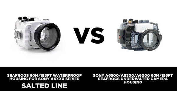 What is the difference between basic Seafrogs housing and more advanced Seafrogs Salted Line housing for Sony a6000 – a6500 cameras?