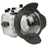 [a7iv-v1-dp90g6] Salted Line Sea Frogs Underwater Camera Housing for Sony A7IV with V1 Dome Port